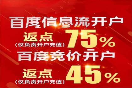 SEM公司案例分享：优化效果与转化率提升策略